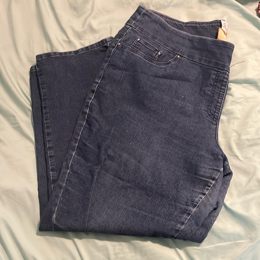 Ruby Road leggings, size 20w